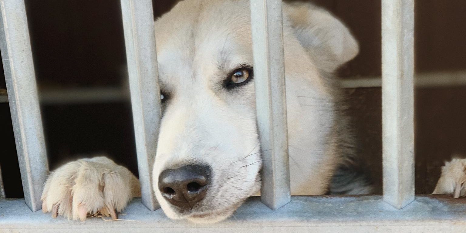 89780476_201695800895421_4400165570658435072_n